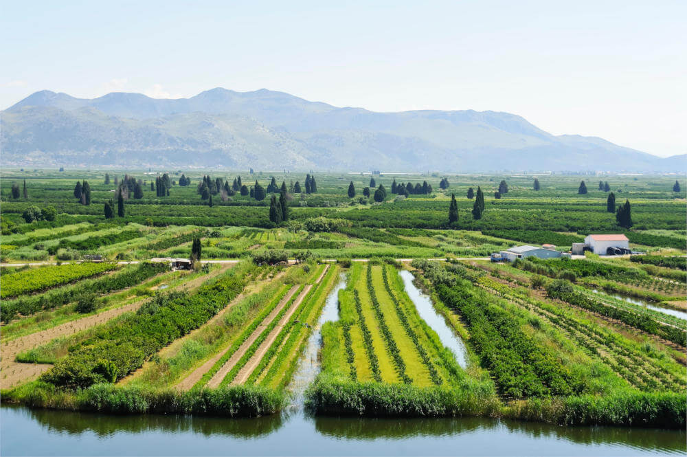 Das Neretva-Delta ist ein einzigartiger Mix aus Natur, Kultur und köstlichen kulinarischen Entdeckungen.