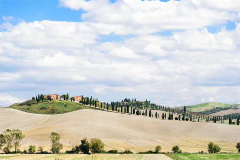 Zypressenallee zu einem Gehöt in der Crete Senesi