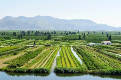 Das Neretva-Delta ist ein einzigartiger Mix aus Natur, Kultur und köstlichen kulinarischen Entdeckungen.