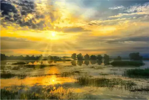 Sonnenaufgang in National Park Kopacki Rit, in der Region Slawonien, Kroatien.