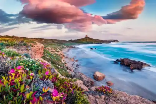 Frühling auf Sardinien, Italien, Europa. Blick auf den Leuchtturm von Capo San Marco auf der Halbinsel Del Sinis.
